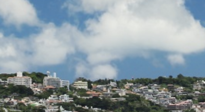 インバウンド事業開始