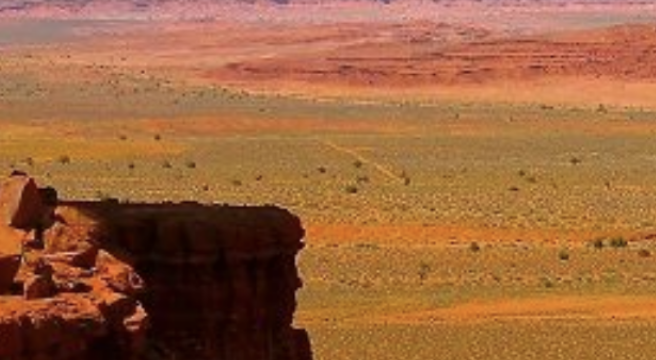 ホームページ公開開始